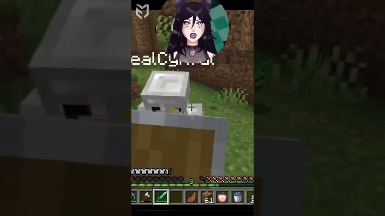 Watch this crazy Minecraft bunny!